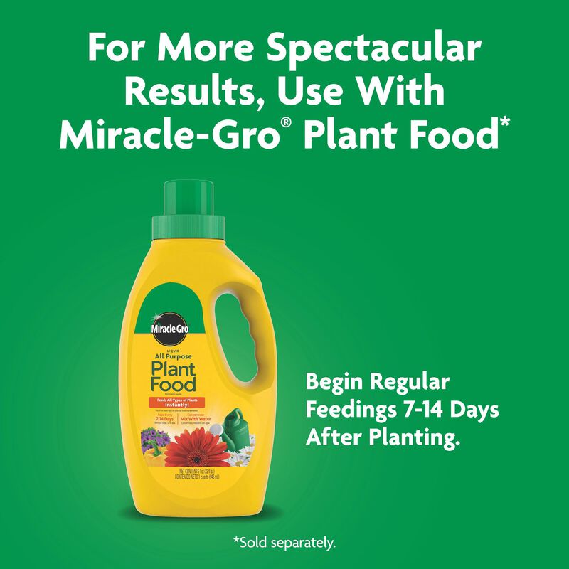 Miracle-Gro® Quick Start® Planting & Transplant Starting Solution image number null